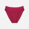 The Brief - Modal, Mulberry -Velisse Bikini Shop clp the brief modal mulberry b0 02 1