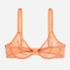 The Plunge - Mesh, Coral