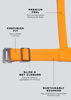 The Balconette - Swim, Nectar -Velisse Bikini Shop pdp the balconette swim nectar b2 04