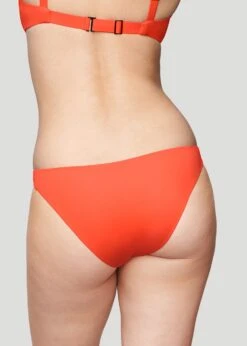 The Bikini - Swim, Hibiscus 12 The Bikini - Swim, Hibiscus -Velisse Bikini Shop pdp the bikini swim hibiscus b0 03