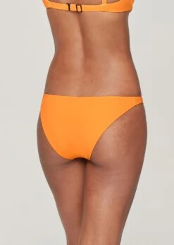 The Scoop & Bikini Swim Set -Velisse Bikini Shop pdp the bikini swim nectar b0 03 e35b14e1 c462 428d 9f8d f9bda38931dc