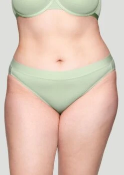The Brief - Modal, Celadon -Velisse Bikini Shop pdp the brief modal celadon b0 01