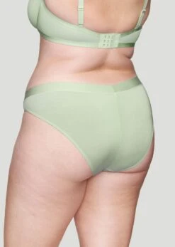 The Brief - Modal, Celadon -Velisse Bikini Shop pdp the brief modal celadon b0 03