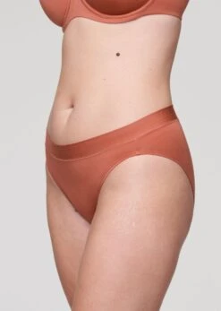 The Brief - Modal, Clay -Velisse Bikini Shop pdp the brief modal clay b0 02