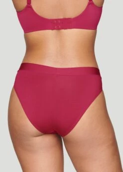 The Brief - Modal, Mulberry -Velisse Bikini Shop pdp the brief modal mulberry b0 03 1