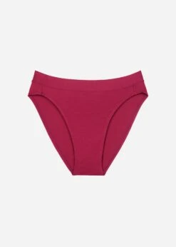 The Brief - Modal, Mulberry -Velisse Bikini Shop pdp the brief modal mulberry b0 04 1