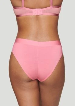 The Brief - Modal, Rose -Velisse Bikini Shop pdp the brief modal rose b0 03 9ddf5914 159e 4f89 8315 f6c422c6e34b
