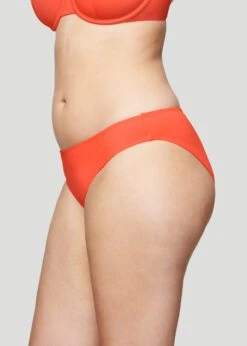 The Brief - Swim, Hibiscus -Velisse Bikini Shop pdp the brief swim hibiscus b0 02