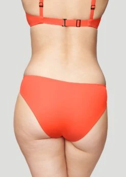 The Brief - Swim, Hibiscus -Velisse Bikini Shop pdp the brief swim hibiscus b0 03