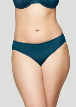 The Brief - Swim, Horizon -Velisse Bikini Shop pdp the brief swim horizon b0 01