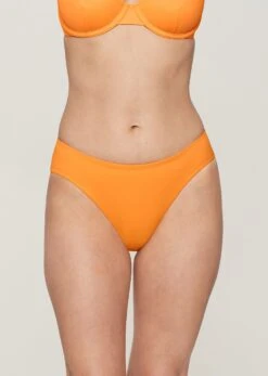 The Brief - Swim, Nectar -Velisse Bikini Shop pdp the brief swim nectar b0 01