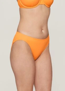 The Brief - Swim, Nectar -Velisse Bikini Shop pdp the brief swim nectar b0 02