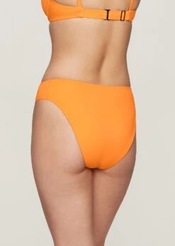 The Brief - Swim, Nectar -Velisse Bikini Shop pdp the brief swim nectar b0 03