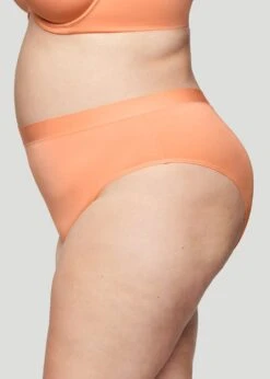 The Highwaist - Modal, Coral 11 The Highwaist - Modal, Coral -Velisse Bikini Shop pdp the highwaist modal coral b0 02