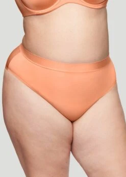 The Highwaist Pack Of 5 - Modal, Coral -Velisse Bikini Shop pdp the highwaist pack of 5 modal coral b0 02