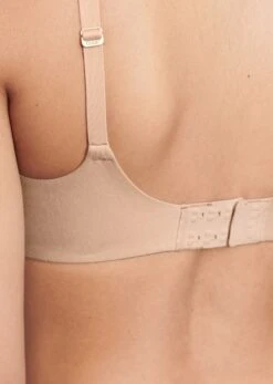 The Modal Scoop Pack Of 3 -Velisse Bikini Shop pdp the modal scoop pack of 3 b0 06 1