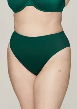 The Plunge & Highwaist Swim Set -Velisse Bikini Shop pdp the plunge highwaist swim set b0 04