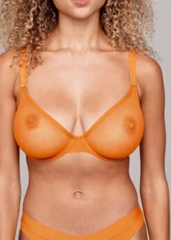 The Plunge - Mesh, Zest 34 The Plunge - Mesh, Zest -Velisse Bikini Shop pdp the plunge mesh zest b2 01