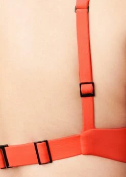 The Plunge - Swim, Hibiscus -Velisse Bikini Shop pdp the plunge swim hibiscus b1 04